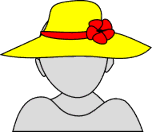 hat