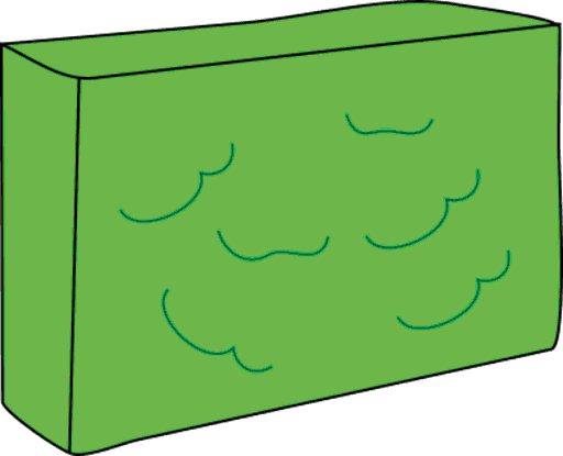 hedge