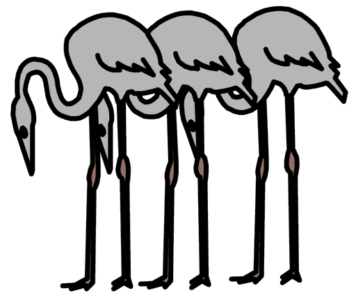 herons