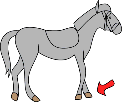 hoof