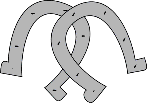 horseshoes