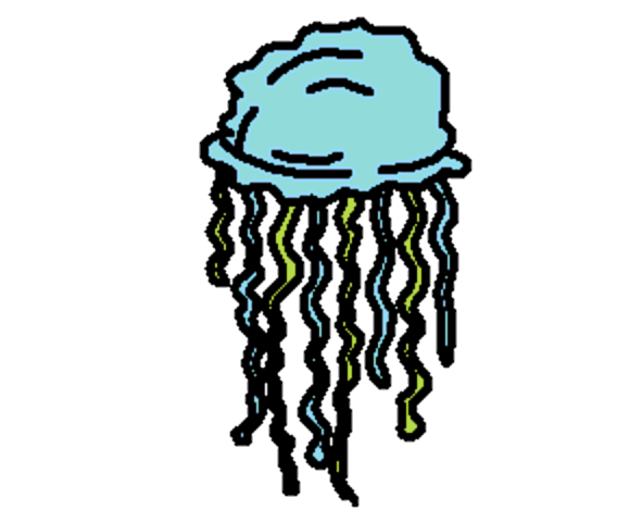 jellyfish