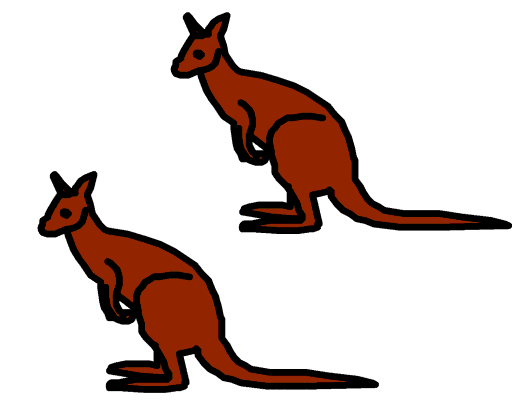 kangaroos