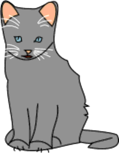 kitten