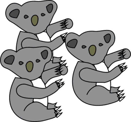 koalas