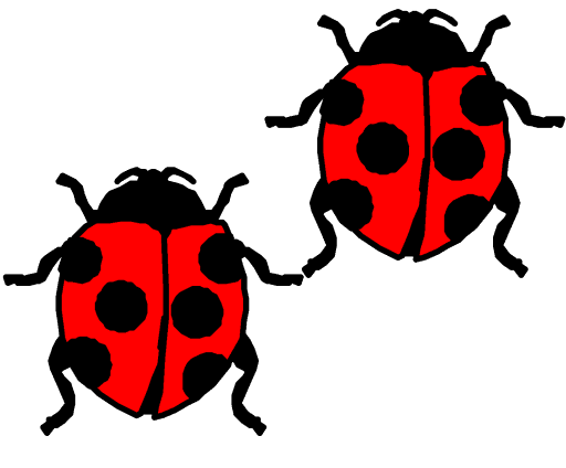 ladybirds