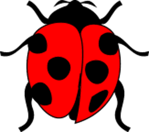 ladybird
