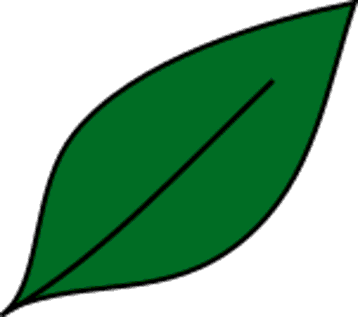 leaf