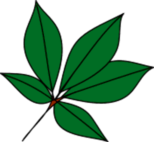 leaves