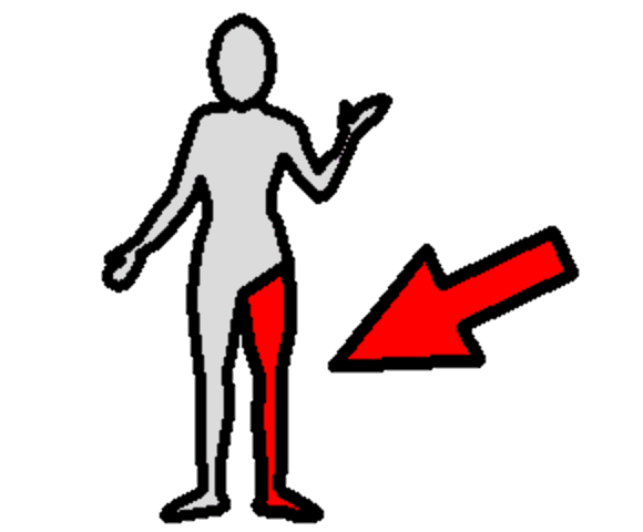leg