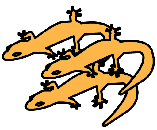 lizards