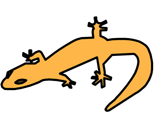 lizard