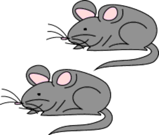 mice