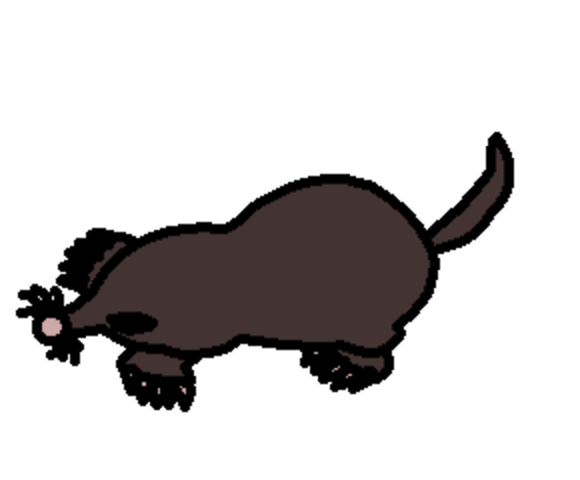 mole