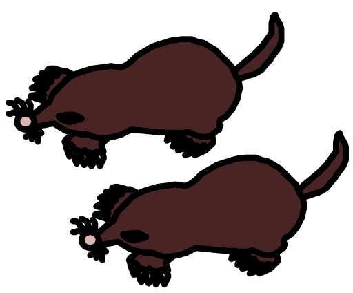 moles