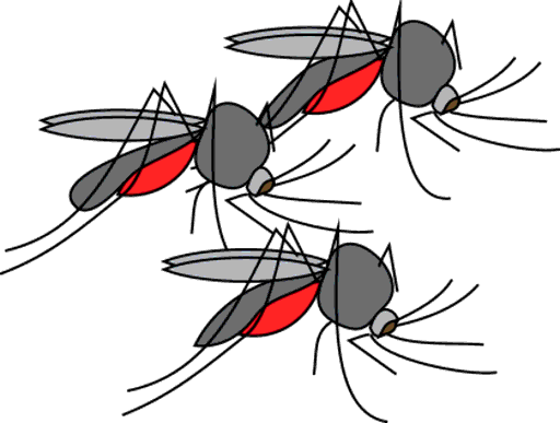 mosquitoes