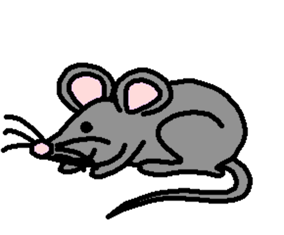 mouse