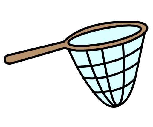 net
