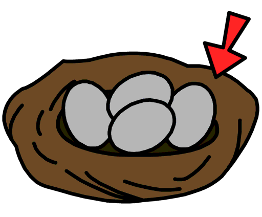 nest