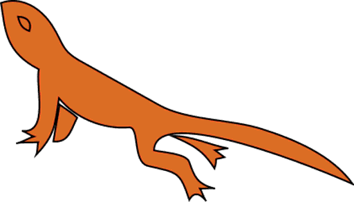 newt
