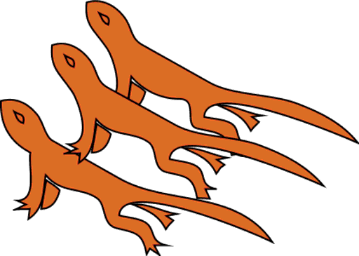 newts