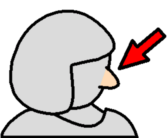 nose