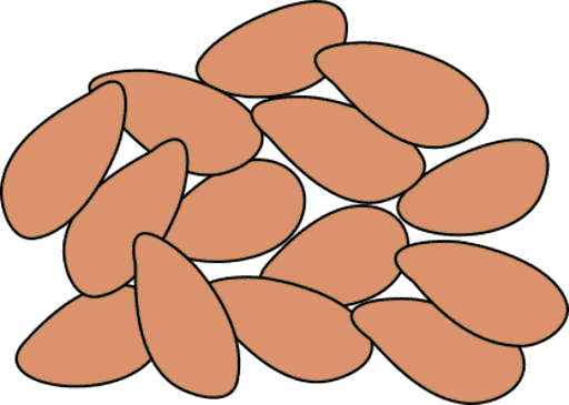 nuts