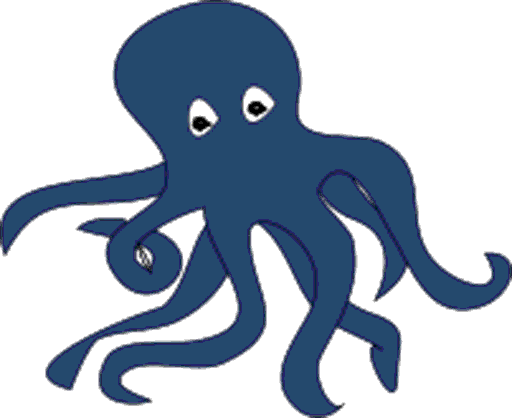 octopus