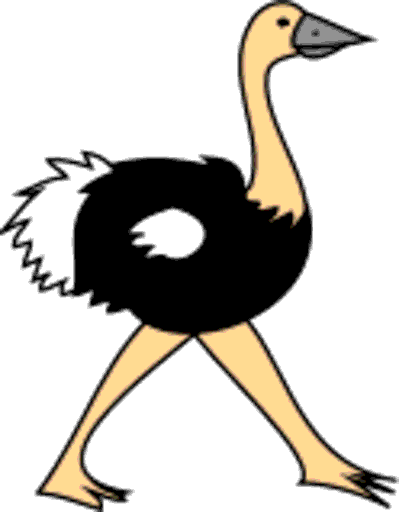 ostrich