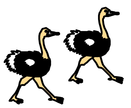 ostriches