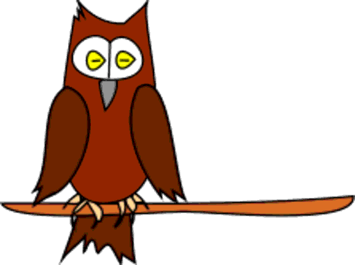 owl