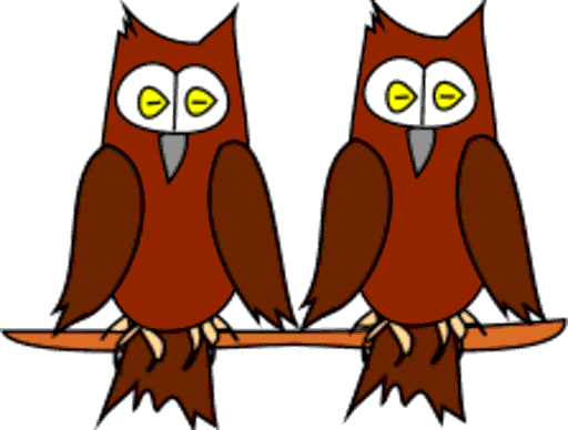 owls