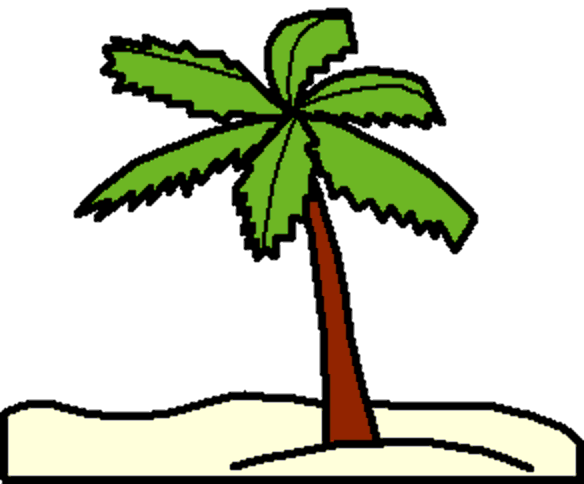 palm tree