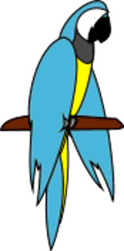 parrot