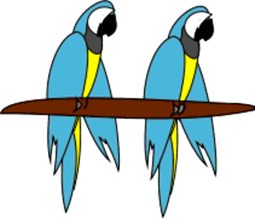 parrots