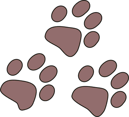 paws