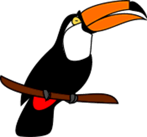 pelican