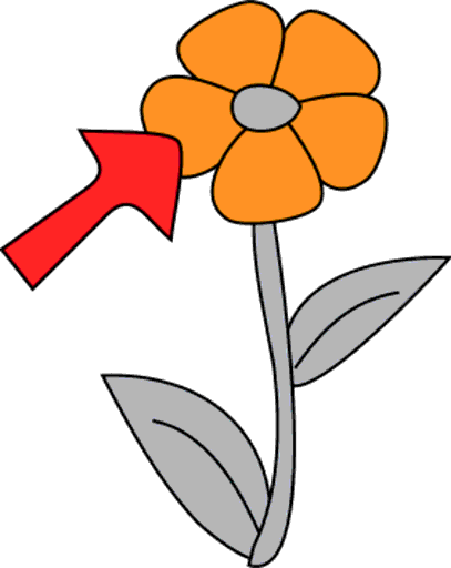 petal