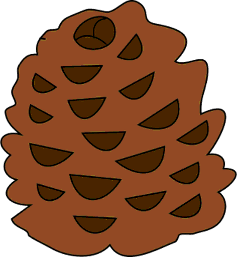 pine