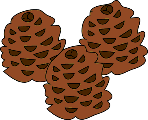 pines
