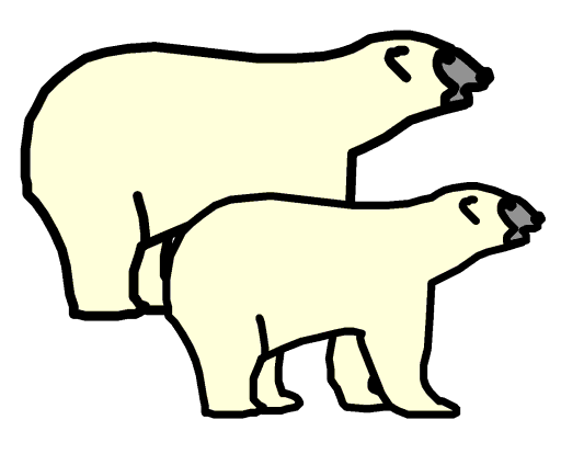 polar bears