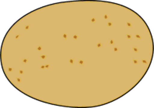 potato