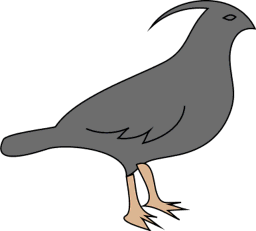 quail