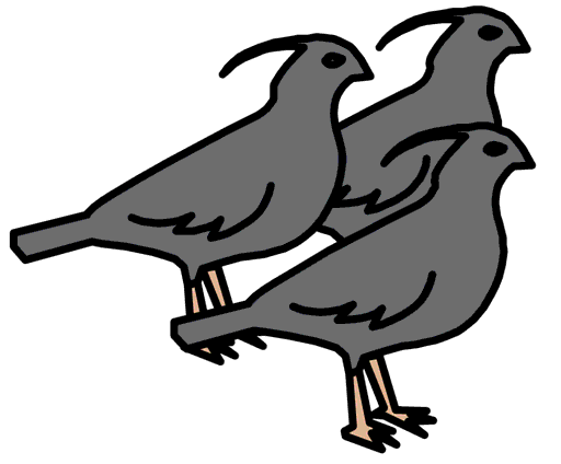 quails