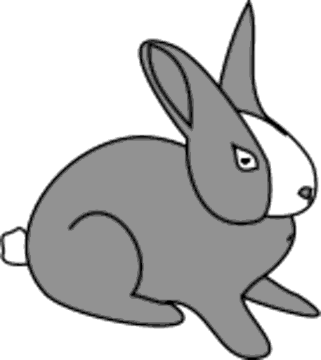rabbit