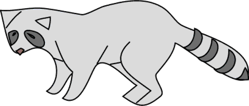 raccoon