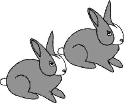 rabbits