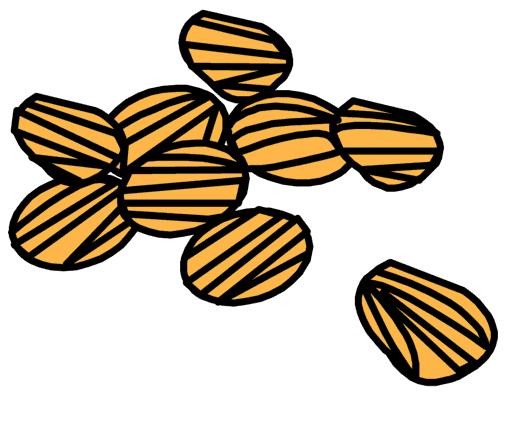 raisins