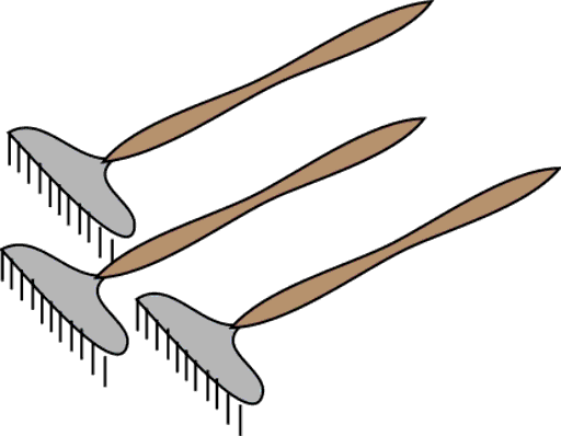 rakes