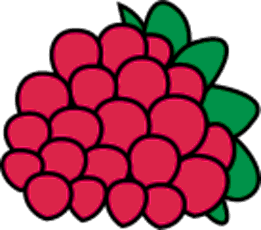 raspberry